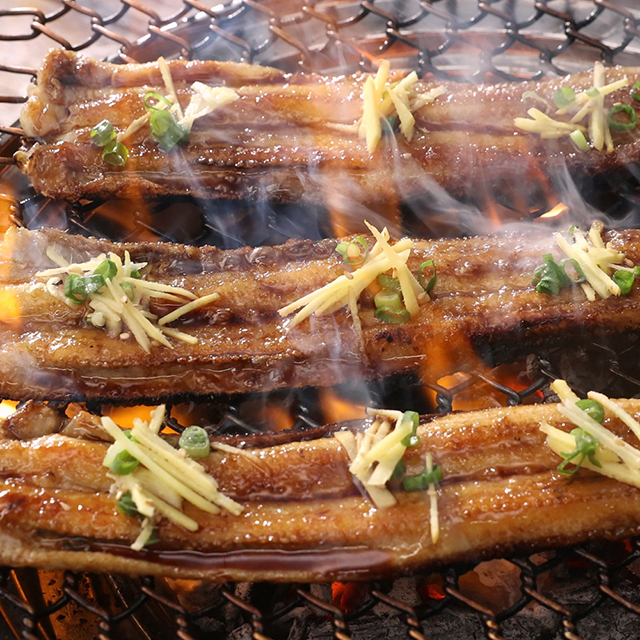  여수순살 바다장어 240g*10팩